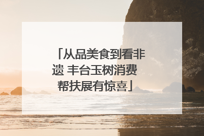 从品美食到看非遗 丰台玉树消费帮扶展有惊喜
