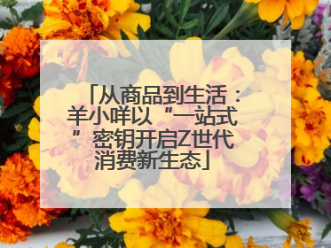 从商品到生活：羊小咩以“一站式”密钥开启Z世代消费新生态