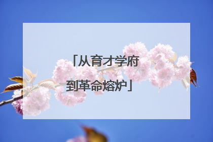 从育才学府到革命熔炉