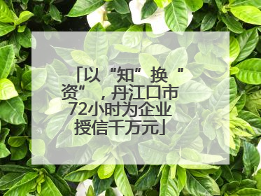 以“知”换“资”，丹江口市72小时为企业授信千万元