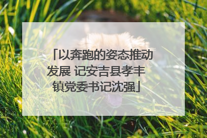 以奔跑的姿态推动发展 记安吉县孝丰镇党委书记沈强