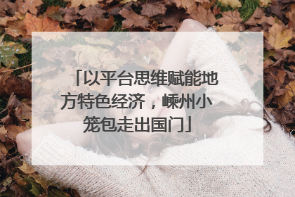 以平台思维赋能地方特色经济，嵊州小笼包走出国门