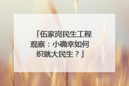伍家岗民生工程观察：小确幸如何织就大民生？