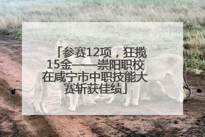 参赛12项，狂揽15金——崇阳职校在咸宁市中职技能大赛斩获佳绩