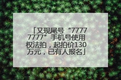 又现尾号“77777777”手机号使用权法拍，起拍价130万元，已有人报名