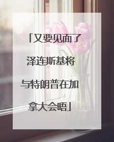又要见面了 泽连斯基将与特朗普在加拿大会晤