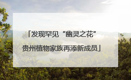 发现罕见“幽灵之花” 贵州植物家族再添新成员