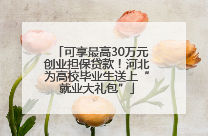 可享最高30万元创业担保贷款！河北为高校毕业生送上“就业大礼包”