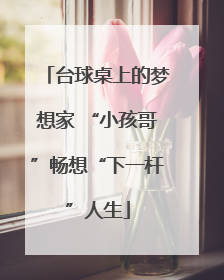 台球桌上的梦想家 “小孩哥”畅想“下一杆”人生
