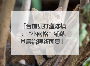台前县打渔陈镇：“小网格”铺就基层治理新图景