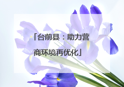 台前县：助力营商环境再优化