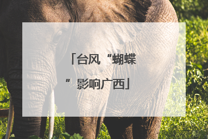 台风“蝴蝶”影响广西