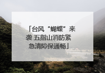 台风“蝴蝶”来袭 五指山消防紧急清障保通畅