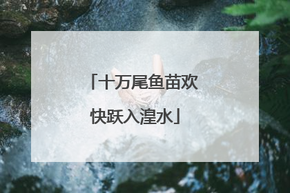 十万尾鱼苗欢快跃入湟水