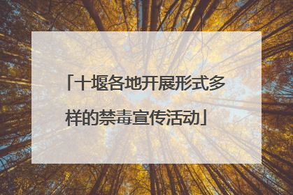 十堰各地开展形式多样的禁毒宣传活动