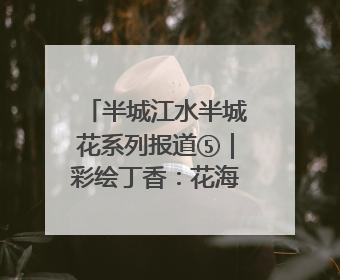 半城江水半城花系列报道⑤｜彩绘丁香：花海映照一座城