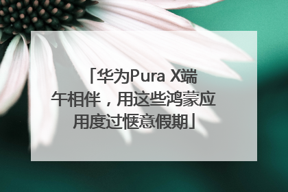华为Pura X端午相伴，用这些鸿蒙应用度过惬意假期