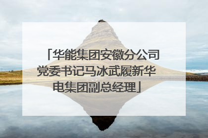 华能集团安徽分公司党委书记马冰武履新华电集团副总经理