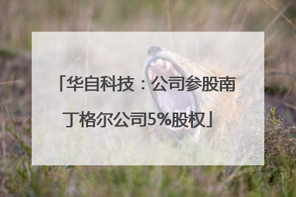 华自科技：公司参股南丁格尔公司5%股权