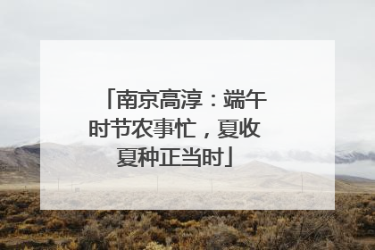 南京高淳：端午时节农事忙，夏收夏种正当时