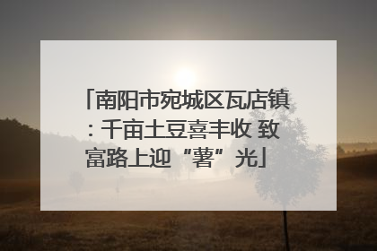 南阳市宛城区瓦店镇：千亩土豆喜丰收 致富路上迎“薯”光