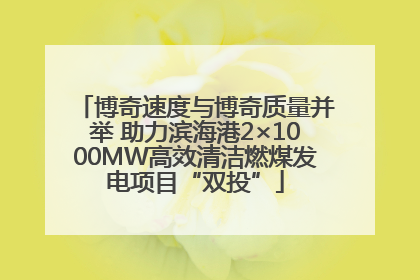 博奇速度与博奇质量并举 助力滨海港2×1000MW高效清洁燃煤发电项目“双投”