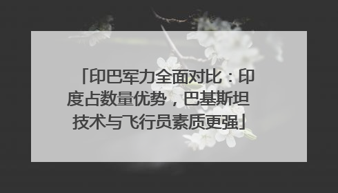 印巴军力全面对比：印度占数量优势，巴基斯坦技术与飞行员素质更强