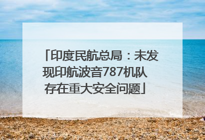 印度民航总局：未发现印航波音787机队存在重大安全问题