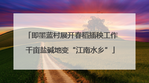 即墨蓝村展开春稻插秧工作 千亩盐碱地变“江南水乡”