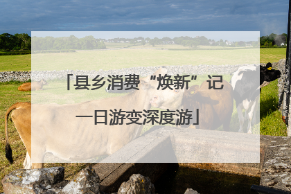 县乡消费“焕新”记 一日游变深度游