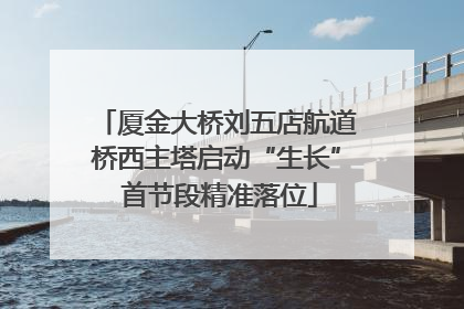 厦金大桥刘五店航道桥西主塔启动“生长” 首节段精准落位