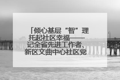 倾心基层“智”理 托起社区幸福——记全省先进工作者、新区文曲中心社区党委书记董世弘
