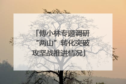 傅小林专题调研“两山”转化突破攻坚战推进情况