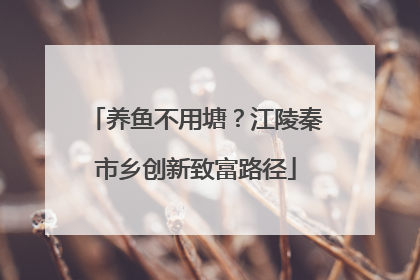 养鱼不用塘？江陵秦市乡创新致富路径