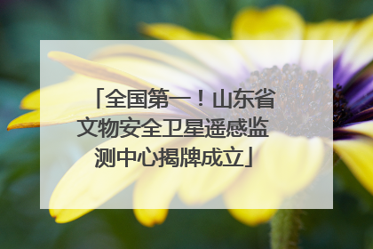 全国第一！山东省文物安全卫星遥感监测中心揭牌成立