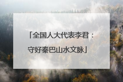 全国人大代表李君：守好秦巴山水文脉