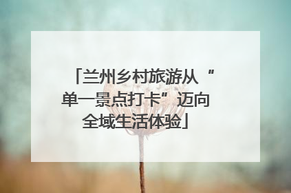 兰州乡村旅游从“单一景点打卡”迈向全域生活体验