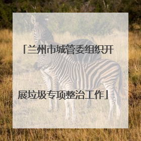 兰州市城管委组织开展垃圾专项整治工作