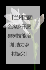 兰州西固金沟乡开展果树技能培训 助力乡村振兴