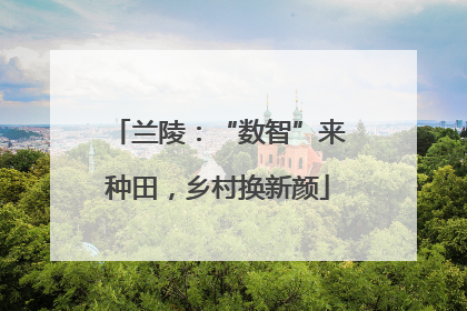 兰陵：“数智”来种田，乡村换新颜