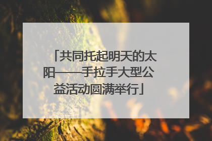 共同托起明天的太阳——手拉手大型公益活动圆满举行