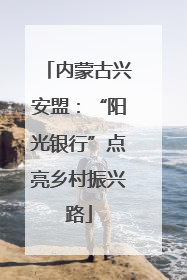 内蒙古兴安盟：“阳光银行”点亮乡村振兴路