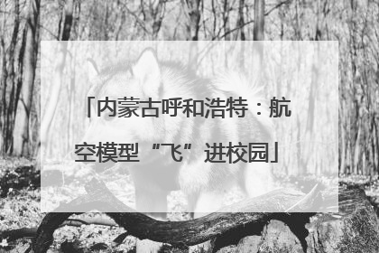 内蒙古呼和浩特：航空模型“飞”进校园