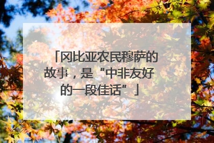 冈比亚农民穆萨的故事，是“中非友好的一段佳话”