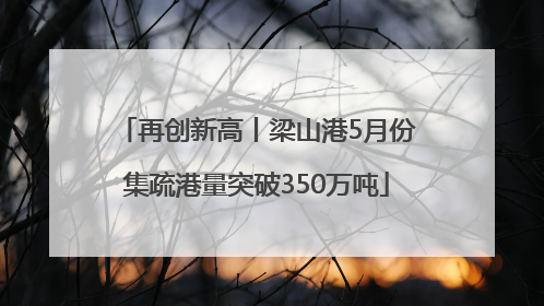 再创新高丨梁山港5月份集疏港量突破350万吨