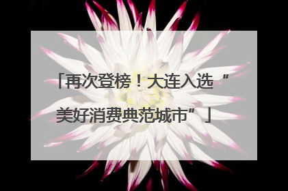 再次登榜！大连入选“美好消费典范城市”