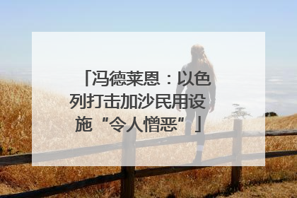 冯德莱恩：以色列打击加沙民用设施“令人憎恶”