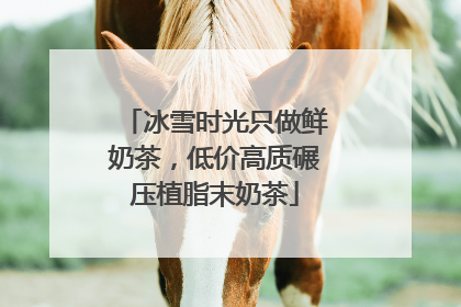 冰雪时光只做鲜奶茶，低价高质碾压植脂末奶茶