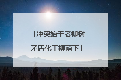 冲突始于老柳树 矛盾化于柳荫下
