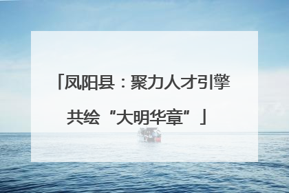 凤阳县：聚力人才引擎 共绘“大明华章”